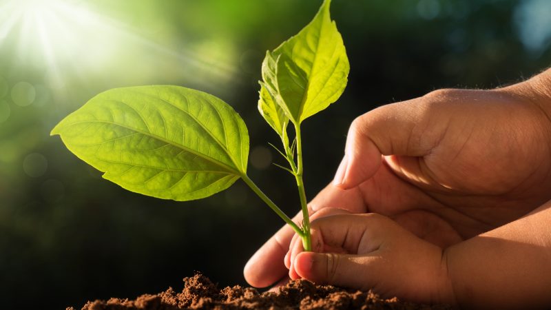 Inhealthcare-environmental-policy